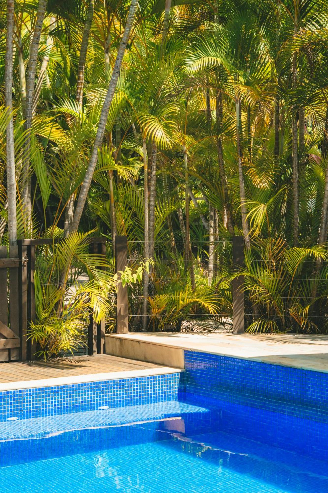 Pousada Vila Tamarindo Eco Lodge Florianópolis 外观 照片
